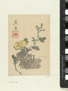 Grasshopper and flowers by Keisai Eisen