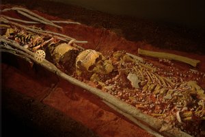 Archaeology; Hominid; Hominin; Human Evolution - Homo sapiens sapiens; Human Evolution; Ice Age, 2000