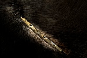 Bone flute from Geissenklosterle, Tubingen, Germany, Eberhard-Karls University by Kenneth Garrett