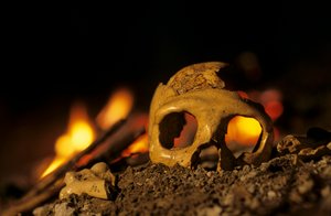 Neandertals 130,000 year old, skull of a woman, Krapina 3, Krapina Cave, Balkans by Kenneth Garrett