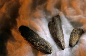 Sharpened Bone Points Used for Digging, From Drimolean Site, Near Johannesburg, South Africa by Kenneth Garrett