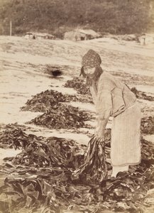 Ainu woman harvesting seaweed by Kenzô Tamoto