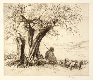 Goatherd, Algeria by Kerr Eby