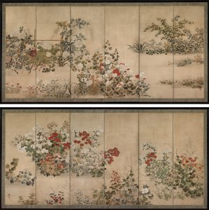 Flowers and Grasses