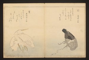 Cormorant and Heron