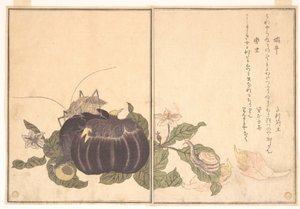 Land Snail (Katatsumuri); Giant Katydid (Kutsuwamushi), from the Picture Book of Crawling Creatures by Kitagawa Utamaro