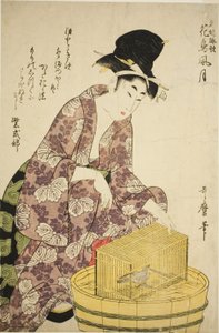 Murasaki Shikibu: Bird, from the series "Famous Women and Their Poems on Flowers, Birds, Wind, and Moon" by Kitagawa Utamaro