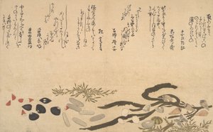 Shells under Water, 1790