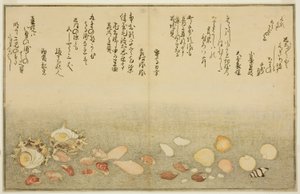 Shiro-gai, Namima-gashiwa, Makura-gai, Iro-gai, Aza-gai, Sadae-gai, from the Illustrated Book 
