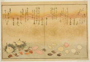 Shiro-gai, namima-gashiwa, makura-gai, iro-gai, aza-gai, sadae-gai, from the illustrated book "Gifts from the Ebb Tide (Shiohi no tsuto)"