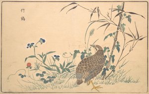Zhu ji, 1789 by Kitao Masayoshi
