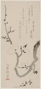 Plum Branch