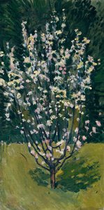 Blooming Little Tree by Koloman Moser