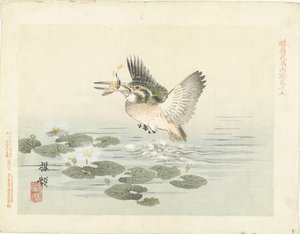 Kingfisher by Kono Bairei