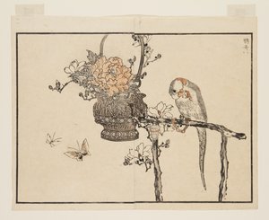 Parrot by Kono Bairei