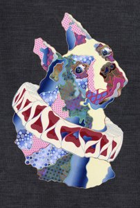 Colorful Canine in Ruff
