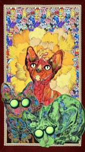 Colorful Sphynx Cats