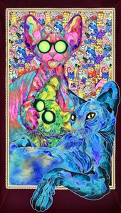 Psychedelic Cat Family