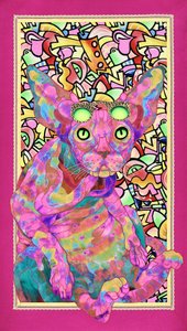 Psychedelic Sphynx Cat