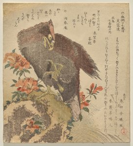 Eagle with an upraised claw on a rock by an azalea bush by Kubo Shunman