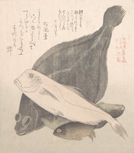 Flounder and Other Fishes, 19th Century