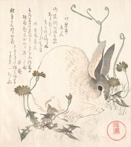 Hare and Dandelion