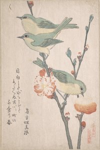 Japanese White-eyes on a Branch of Peach Tree, from the Series An Array of Birds, from Spring Rain Surimono Album (vol. 3) by Kubo Shunman