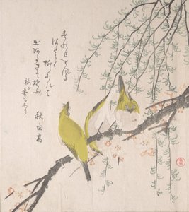 Japanese White-eyes with Plum Tree and Willow by Kubo Shunman