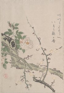 Roses and Plum Blossoms by Kubo Shunman