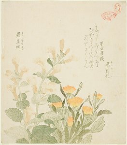 The Common Marigold and The Rajoman Flowers by Kubo Shunman