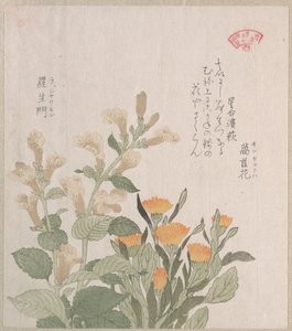The Common Marigold and The Rajoman Flowers by Kubo Shunman