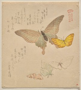 The Painting Manual of Flock of Butterflies (Guncho? Gafu) by Kubo Shunman
