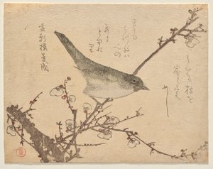Warbler on Plum Branch