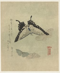 Four Butterflies (A Series of Prints with Butterflies for the Kasumi Poets Association)