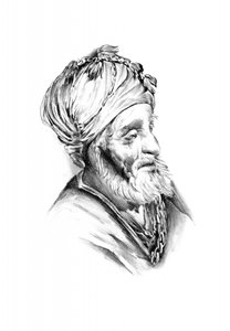 Bearded Sage Portrait