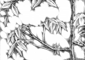 Dappled Light Leaves