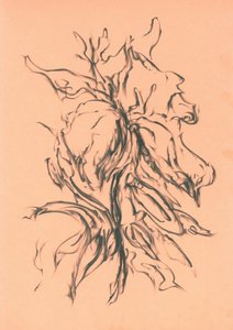 Dynamic Charcoal Growth