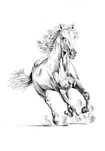 Dynamic Galloping Horse by Kulik