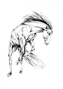 Dynamic Wild Horse