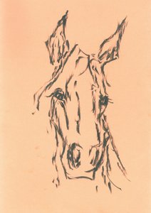 Elegant Horse Head Sketch