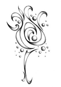 Elegant Organic Flow