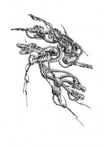 Futuristic Cybernetic Structure