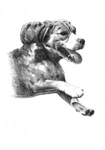 Happy Dog Sketch