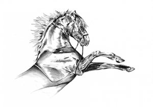 Horse 72