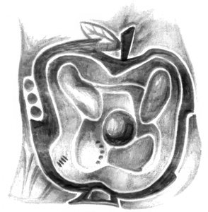 Intricate Apple Maze