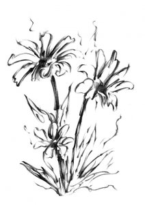 Monochrome Floral Sketch