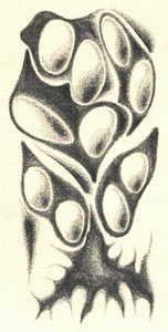 Mysterious Organic Form