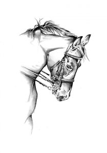 Noble Horse Drawing by Kulik