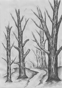 Path Through Stark Trees