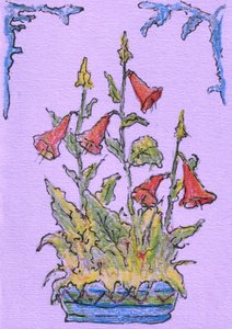 Potted Bell Flowers